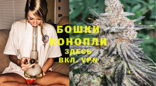 тгк Магас