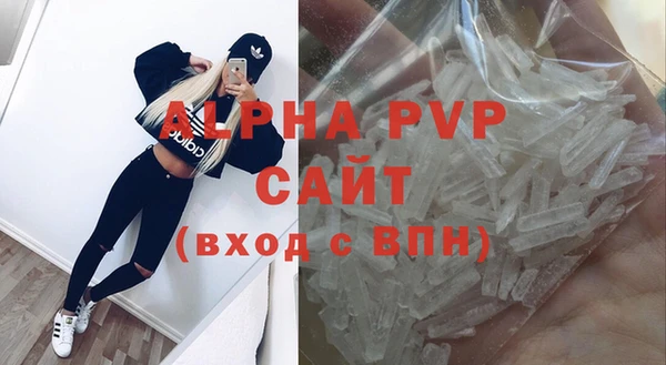 тгк Магас