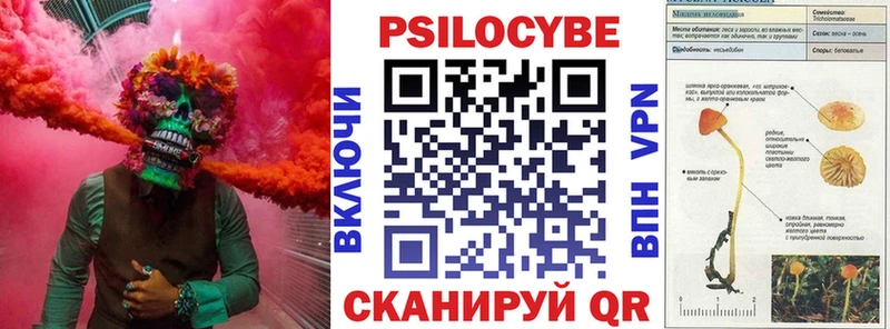 Галлюциногенные грибы Psilocybe  Поворино 